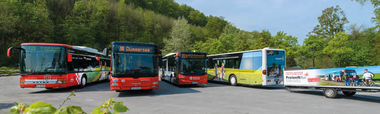 Linienbusse des FreizeitBus, ein Bus mit Anhänger für Fahrräder, stehen auf einem Parkplatz mit grünem Wald im Hintergrund. 